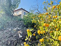 i3fotdb8d7lnim i3fotdb8d7lnim