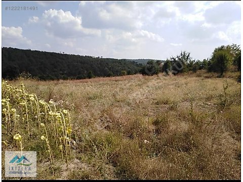 İKİZLER EMLAK'TAN 2,769m² GÖLPAZARI ARMUTÇUK KÖYÜNDE...