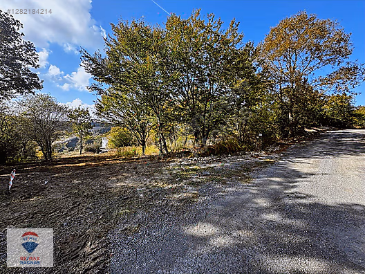 Şile Kabakozda Deniz Manzaralı 483 m² Satılık Arsa