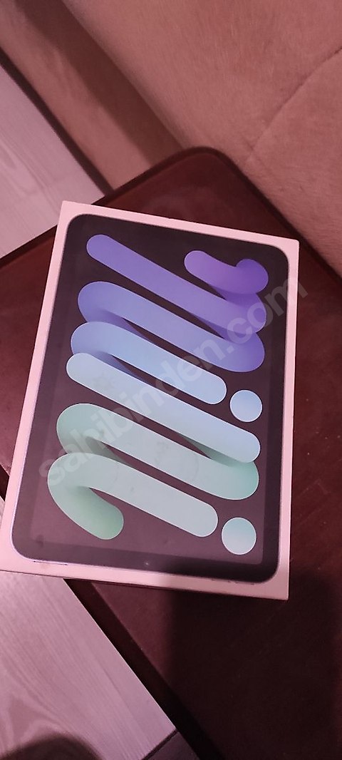 İPAD MİNİ 6 256 GB TEMİZDİR