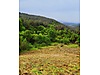 DİALOG NET'TEN BALIKESİR KARAESİ ŞAMLIDA 6,050 m2 TARLA