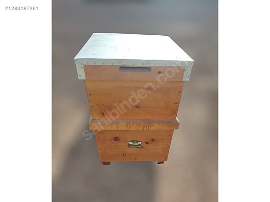 Hayvanlar Alemi / Böcekler / Arı