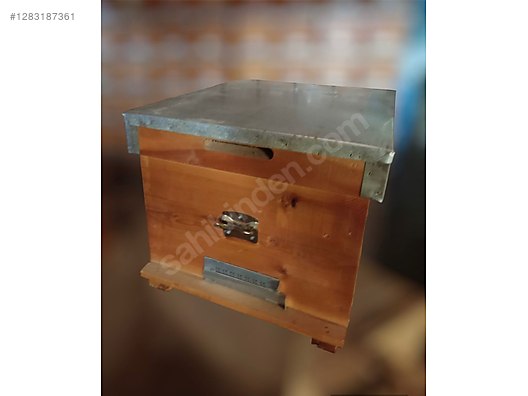 Hayvanlar Alemi / Böcekler / Arı