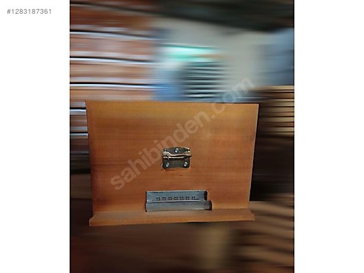 Hayvanlar Alemi / Böcekler / Arı