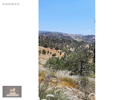 SAFİR DEN KAZANLIPONAR DA SATLIK ARAZİ #1244187415
