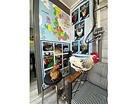 YUMURTAYA YAKIN YARKA SATIŞIMIZ MEVCUTTUR #1226187803