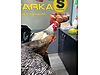 Hayvanlar Alemi / Kümes Hayvanları / Tavuk