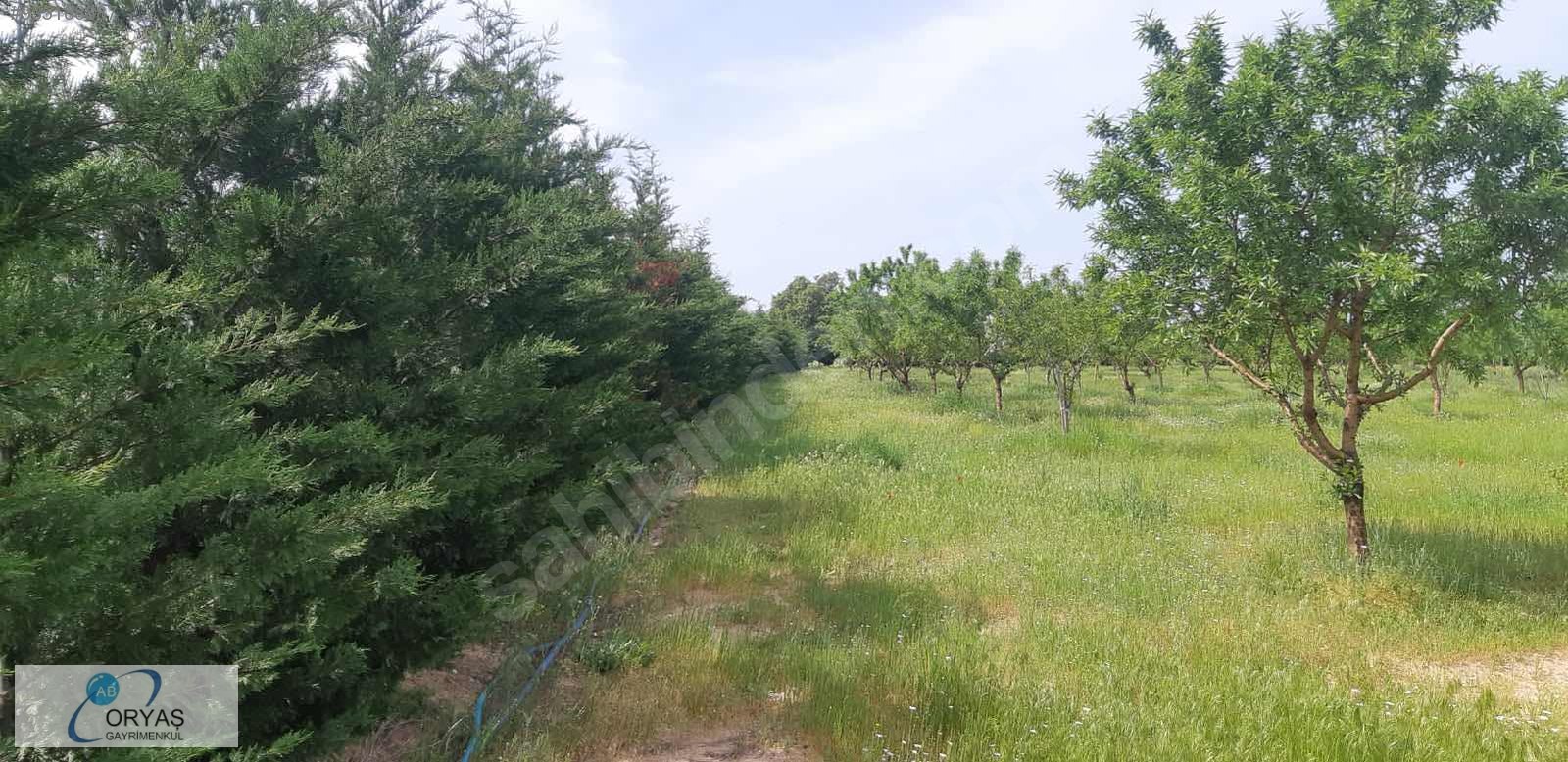 ORYAŞTAN EDİRNE ENEZDE İÇİNDE MÜSTAKİL EV OLAN 20.480m2 TARLA Satılık