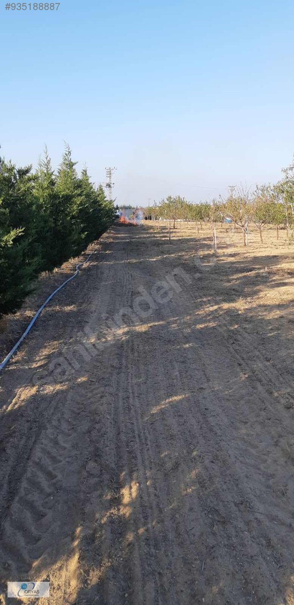 ORYAŞTAN EDİRNE ENEZDE İÇİNDE MÜSTAKİL EV OLAN 20.480m2 TARLA Satılık