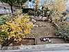BORNOVA KIZILAY MAHALLESİNDE MERKEZİ KONUMLU 3+1 SATILIK DAİRE