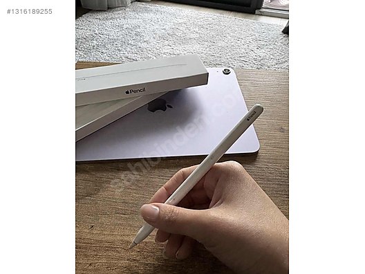 Apple Pencil 第2世代　11月24日購入 Apple Pencil (第2世代)」の人気商品一覧 | 安い商品を通販サイトから