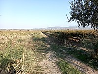 satilik arsa ilanlari ve fiyatlari sahibinden com da 13