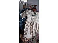 koleksiyonluk antikalar