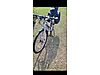 Used & Brand New Items / Sports / Bicycles / City Bicycle & Touring Bikes