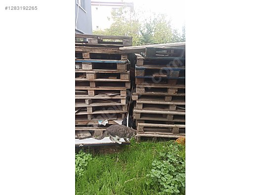 Odun - Orman Ürünleri