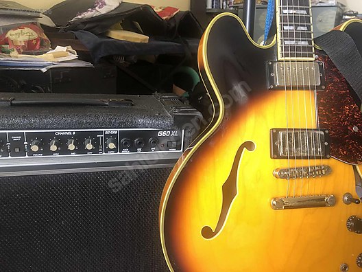 İkinci El ve Sıfır Alışveriş / Müzik / Müzik Aletleri / Telli Çalgılar / Gitar / Elektro