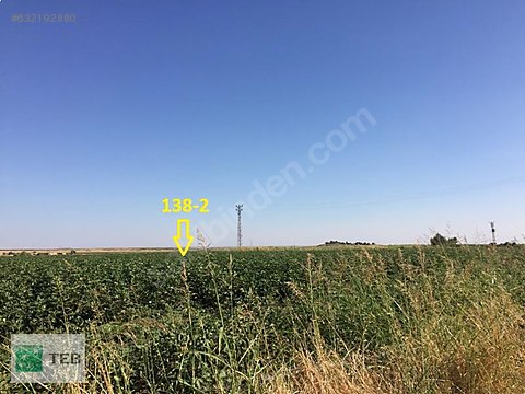 8181 mardin derik de tarla satilik arsa ilanlari sahibinden com da 632192880 8181 mardin derik de tarla satilik arsa ilanlari sahibinden com da 632192880