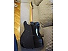 ESP Elektro Gitar