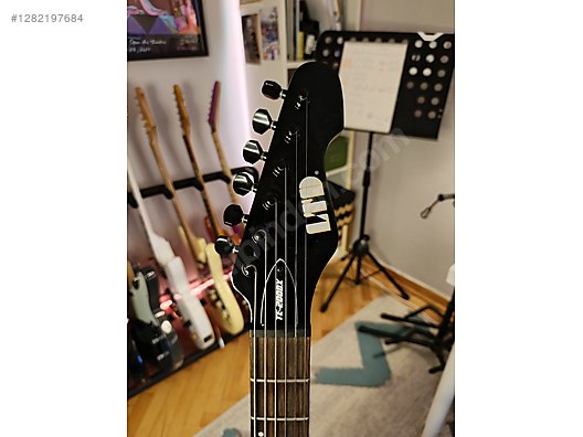 ESP Elektro Gitar