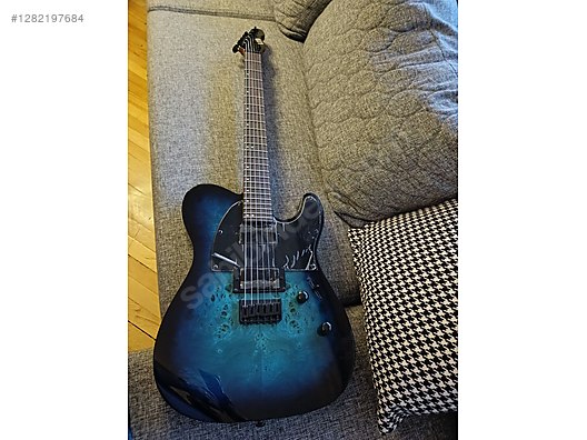 ESP Elektro Gitar