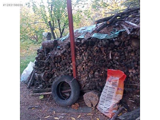 İkinci El ve Sıfır Alışveriş / Bahçe & Yapı Market / Yapı Malzemeleri / Hırdavat & Nalburiye / Orman Ürünleri