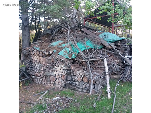 Odun - Orman Ürünleri