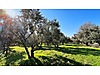 KARACABEY DOĞLA