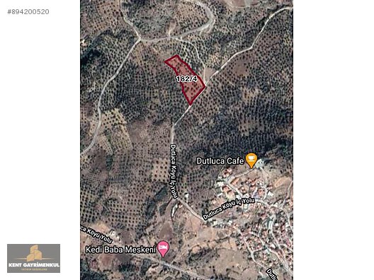 Burhaniye Dutluca Mahallesinde 7 Donum Zeytinlik Satilik Arsa Ilanlari Sahibinden Com Da 894200520