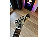 LTD Elektro Gitar