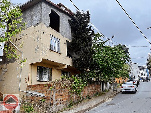 ekin turkmen family therapy pornoları