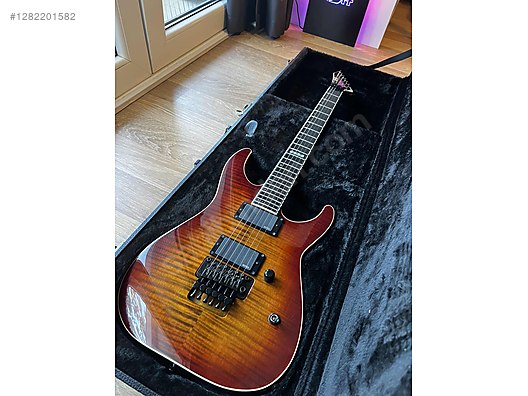 ESP Elektro Gitar