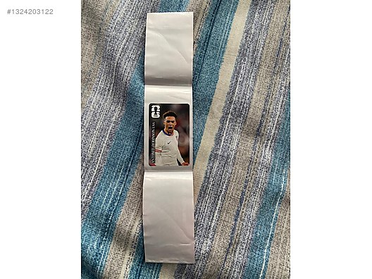 Panini Fifa World Cup Coca Cola stickers Gvardiol ve Robinson