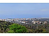 Yalova Armutlu Bayır Mhde 1.630 m² Deniz Manzaralı Zeytinlik!