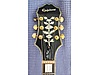 Epiphone Elektro Gitar