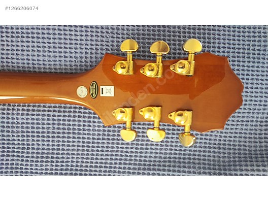 Epiphone Elektro Gitar