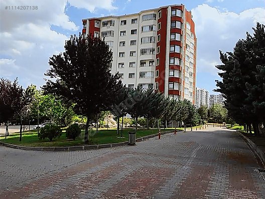 islak kuş