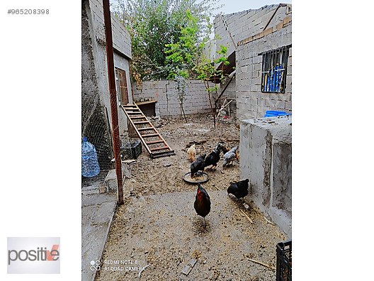 diyarbakir acik oto pazar arkasinda 75 yola sifir mustakil ev satilik mustakil ev ilanlari sahibinden com da 965208398