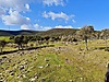 Urla'da Asfalt Yol,250KW Elektrik, ve Ruhsatlı Kuyulu Tarla