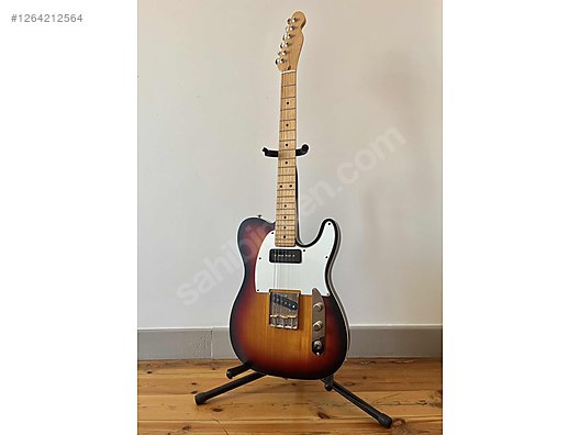 Schecter Elektro Gitar