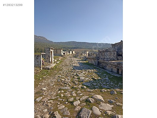 İkinci El ve Sıfır Alışveriş / Cep Telefonu & Aksesuar / Numara / Türk Telekom