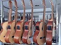 PROFESYONEL ÖZEL YAPIM ELEKTRO KLASİK GİTARLAR