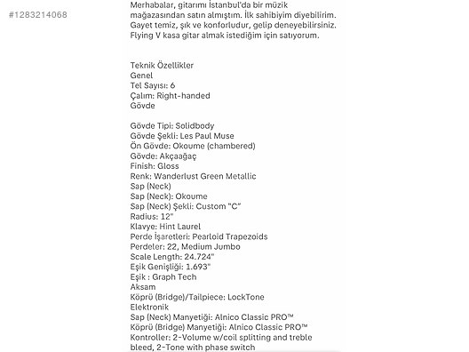 Epiphone Elektro Gitar