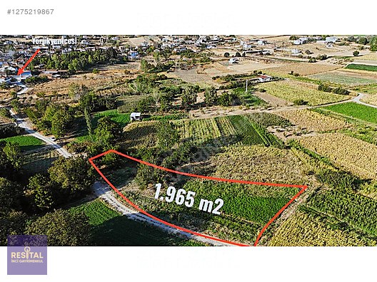 MUDANYA YÖRÜKYENİCESİNDE SATILIK 1.965m2 ARAZİ