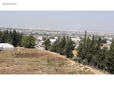 antalya hacialilerde tepede ve muhtesem doga ve deniz manzaral satilik arsa ilanlari sahibinden com da 548220203 antalya hacialilerde tepede ve muhtesem doga ve deniz manzaral satilik arsa ilanlari sahibinden com da 548220203