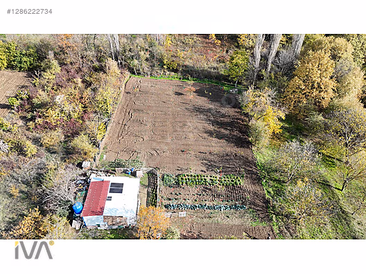 ŞEHİTLER KÖYÜNDE TEK TAPU HARİKA HOBİ BAHÇESİ... #1286222734