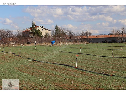 meram satilik arsa ilanlari ve fiyatlari sahibinden com da meram satilik arsa ilanlari ve fiyatlari sahibinden com da