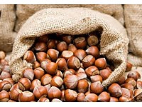 Giresun Kalite Fındık (kabuklu)