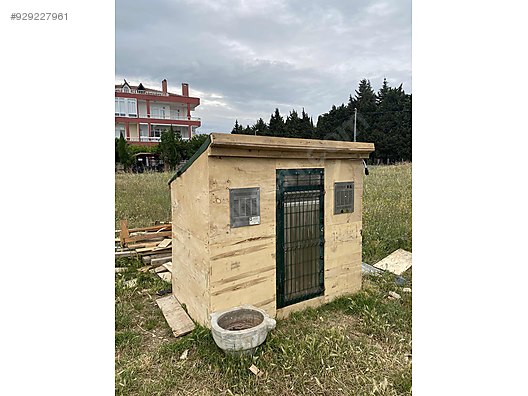 guvercin guvercin kumesi gomme kilitli sifir kontepilak ozel yapim sahibinden comda 929227961