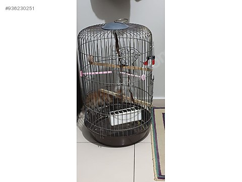 Buyuk Boy Papagan Veya Kus Kafesi Sahibinden Comda 936230251