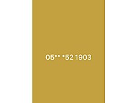 Ordulu Beşiktaş lıya taraftar numarası